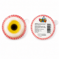 Funny Candy Fun-Eye Candy – Bonbon en forme d'œil (1pc)