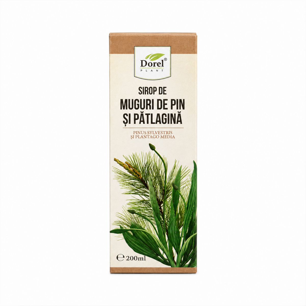 Dorel Sirop de Bourgeons de Pin et de Plantain – 200 ml