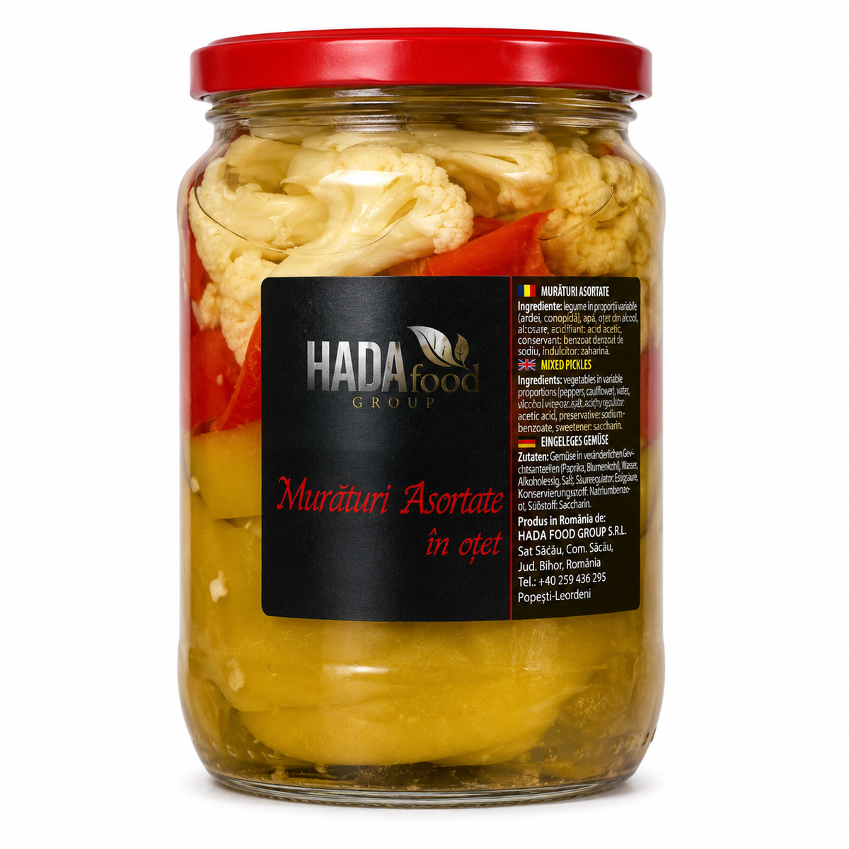 Hada Food Group Mélange de cornichons au vinaigre