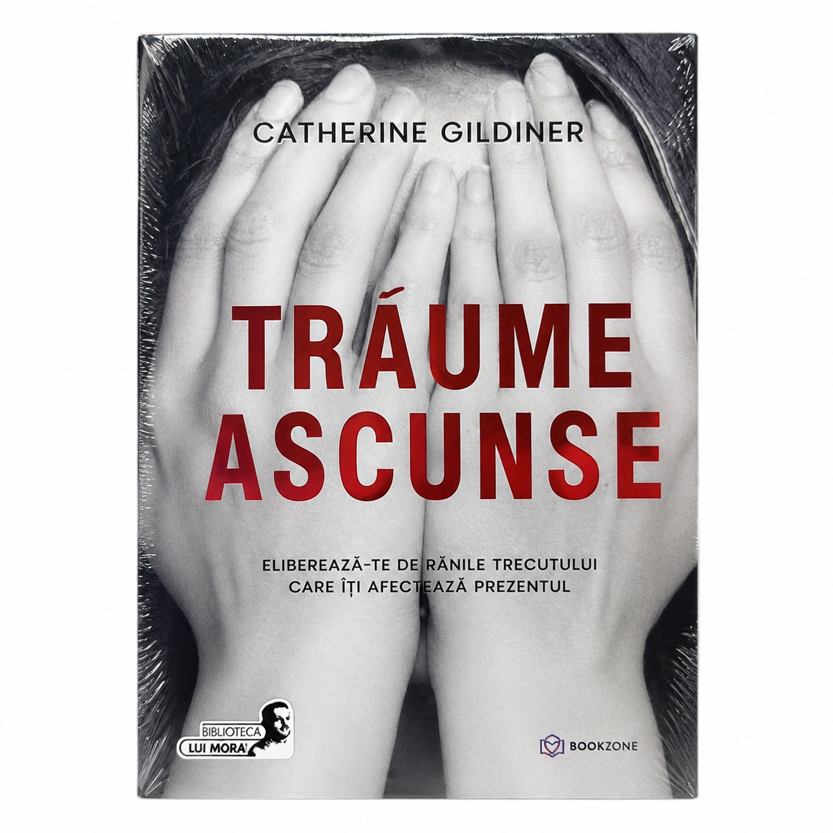 Les traumatismes cachés – Catherine Gildiner