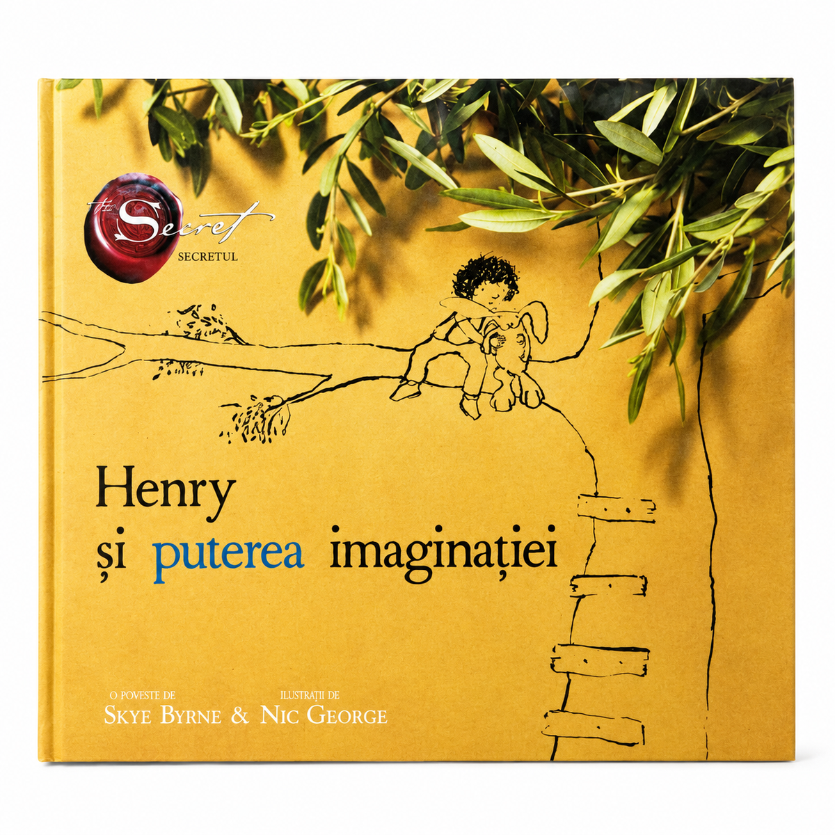 Henry et le pouvoir de l'imagination - Skye Byrne & Nic George